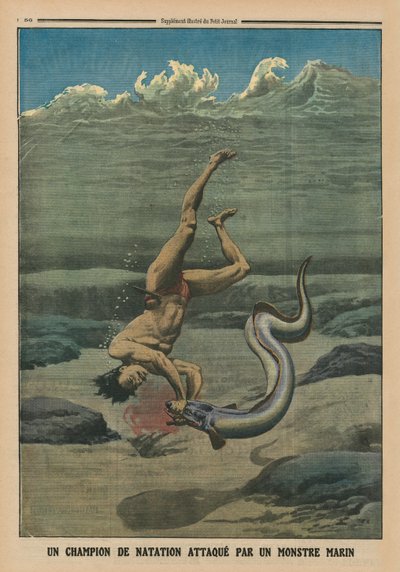 Un champion de natation attaqué par un monstre marin, illustration de couverture arrière de 